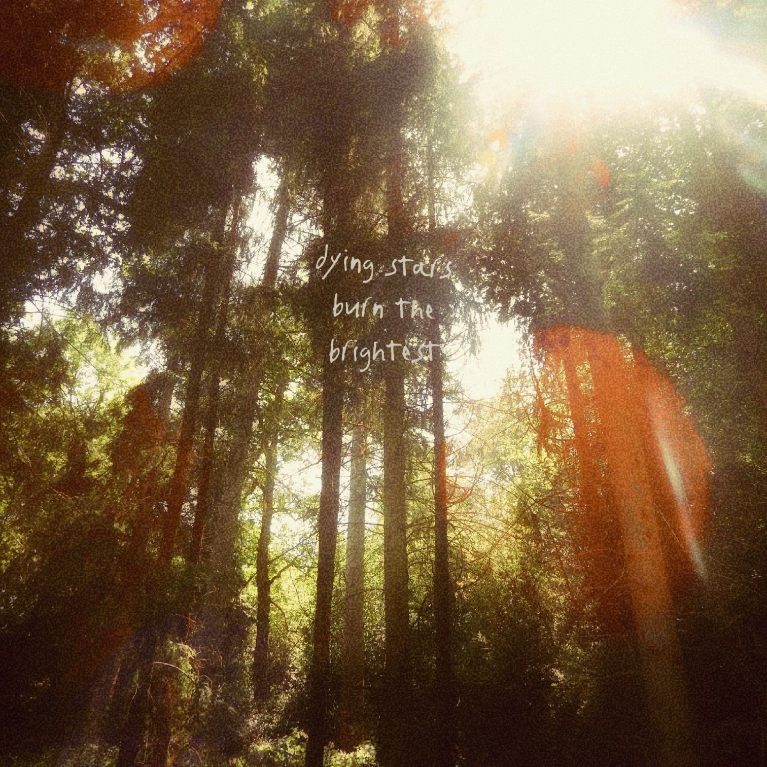 Album cover for Album Four