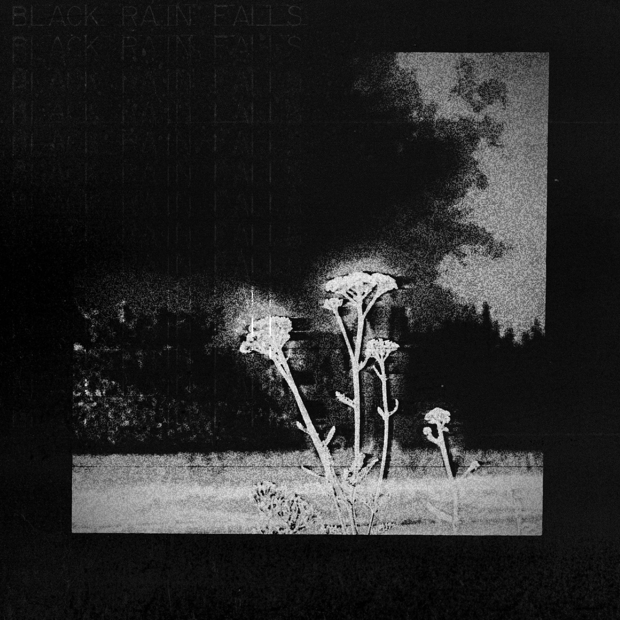 Album cover for Album Two